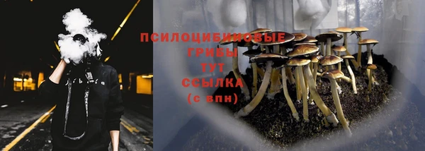 мескалин Нефтекумск