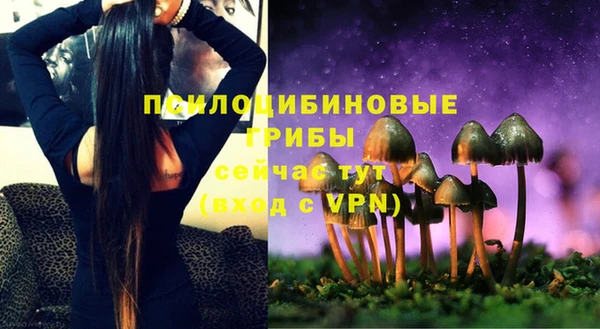 мескалин Нефтекумск