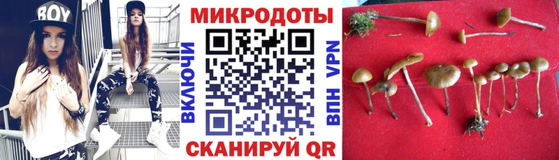 Галлюциногенные грибы Psilocybe  hydra   Томари 