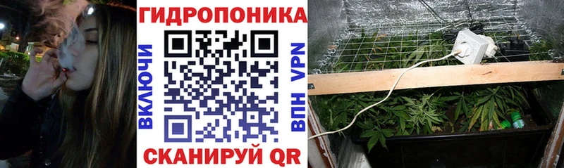 hydra маркетплейс  Томари  Бошки Шишки LSD WEED  купить закладку 